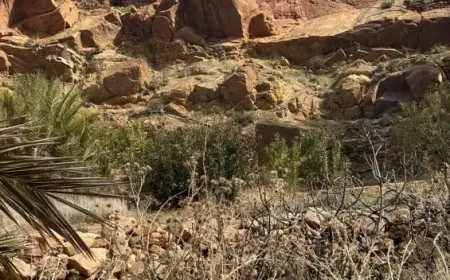 الجيش الجزائري يقتحم بساتين قصر إيش بإقليم فجيج ويطلق الرصاص لترهيب الساكنة