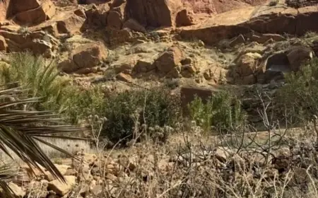 Tensions à la frontière maroco-algérienne : inquiétude à Ksar Ich dans la province de Figuig