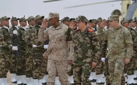 Le Maroc accueillera en mai les plus grandes manœuvres militaires américaines en Afrique African Lion