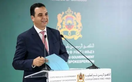 بايتاس: تموين الأسواق الوطنية مستقر رغم التساقطات الغزيرة