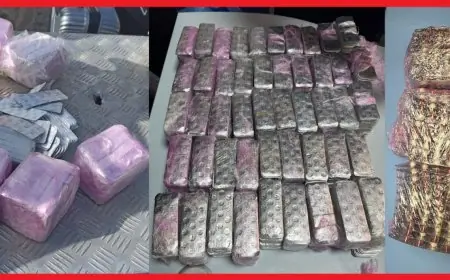 إحباط محاولات متزامنة لتهريب أزيد من 30 ألف قرص مخدر بمعابر باب سبتة وطنجة المتوسط