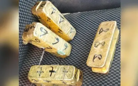إجهاض محاولة تهريب سبائك ذهب عبر ميناء بني أنصار بالناظور