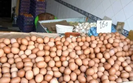 قبل رمضان.. أسعار البيض تعود للارتفاع بالمغرب