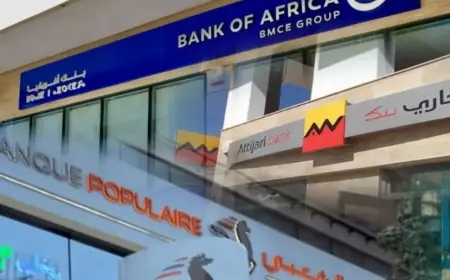 Attijariwafa Bank, BMCE Capital et la Banque Populaire dominent le classement 2025 des banques intermédiaires en valeurs du Trésor