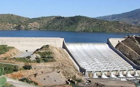بعد أمطار الخير.. نسبة ملء السدود بالمغرب تواصل التحسن وتبلغ 68,56%