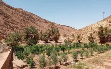 الجيش الجزائري يواصل إطلاق النار لترهيب فلاحين مغاربة في منطقة إيش بإقليم فكيك