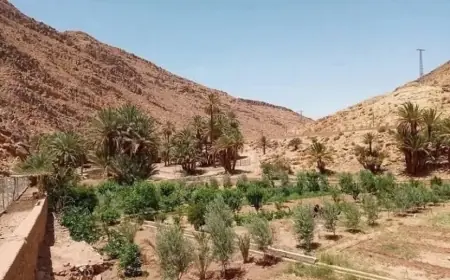 Tensions signalées à la frontière maroco-algérienne dans la région de Figuig