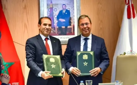 Partenariat institutionnel pour renforcer la transparence et la lutte contre la corruption au Maroc