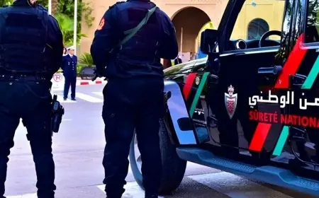 مواطن تركي متورط في ترويج المخدرات يسقط في قبضة أمن سلا