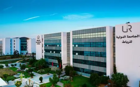 رئيس الجامعة الدولية للرباط: 93% من خريجينا يحصلون على العمل خلال أقل من عام بالمغرب