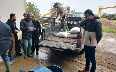 تعبئة ميدانية لدعم مربي الماشية المتضررين من الفيضانات بجهة الغرب