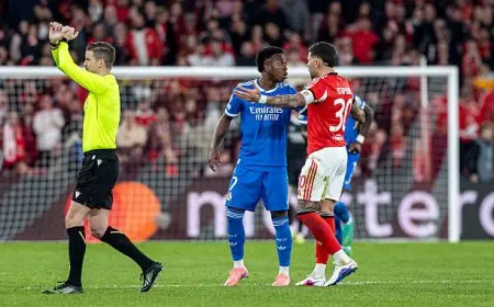 دوري أبطال أوروبا.. "ويفا" يحقق في اتهام فينيسيوس للاعب بنفيكا بالعنصرية
