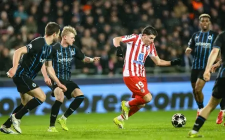 تعادل مثير يحسم مواجهة أتلتيكو مدريد وكلوب بروج في دوري أبطال أوروبا