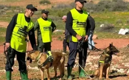 لليوم السادس.. عمليات متواصلة للبحث عن الطفلة هبة المختفية بواويزغت في أزيلال