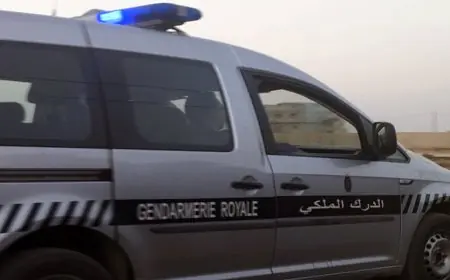 توقيف فقيه بآسفي لتورطه في حيازة وترويج 200 كيلوغرام من الكيف