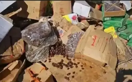 سلطات مراكش تحجز كميات كبيرة من التمور الفاسدة في مستودع بسيدي غانم