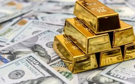 تحت ضغط الدولار.. الذهب يتراجع عن أعلى مستوياته في 3 أسابيع
