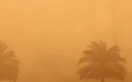 نشرة إنذارية.. رياح قوية وعواصف رملية بعدد من أقاليم المملكة ابتداءً من الخميس