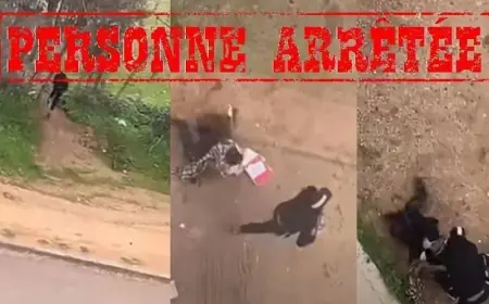 الأمن الوطني بمكناس يوقف شخصا متورطا في سرقة بالعنف استهدفت فتاة قاصر