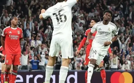 Le Real Madrid valide son billet pour les huitièmes de finale après sa victoire contre Benfica