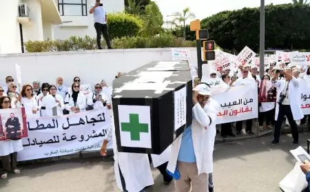 نقابة الصيادلة ترفض توصيات مجلس المنافسة وتطالب بحوار لإصلاح القطاع