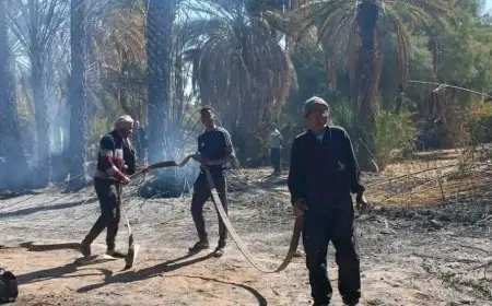 حريق مهول بحقول "تنغيل" بزاكورة وتحقيقات أمنية لمعرفة الأسباب