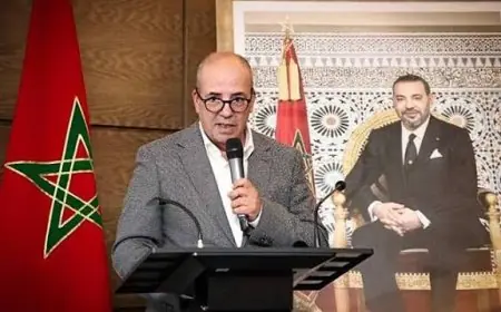 Le ministre de l'Agriculture évalue les dégâts des inondations dans le Loukkos