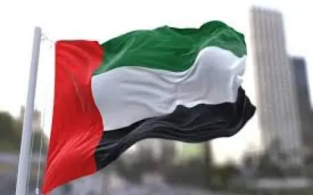 وزارة الدفاع الإماراتية تعلن التصدي لهجوم إيراني بصواريخ باليستية