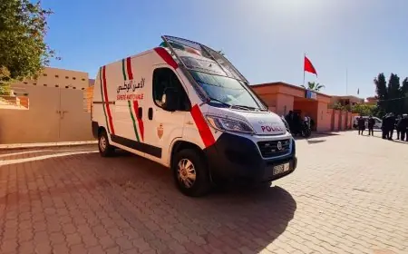 تفكيك شبكة لترويج المخدرات بأولاد تايمة وحجز أزيد من طن من القنب الهندي