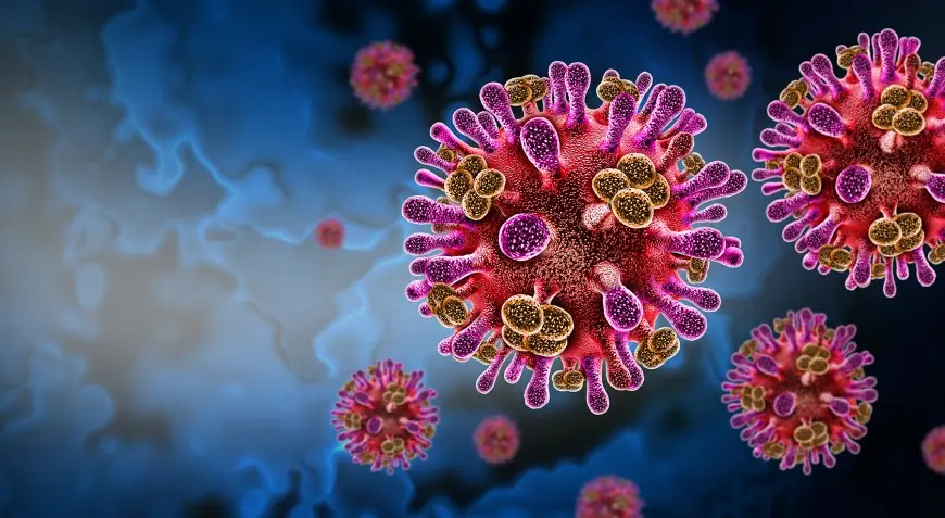 Virus Nipah alerte sanitaire régionale après la détection de cas en Inde