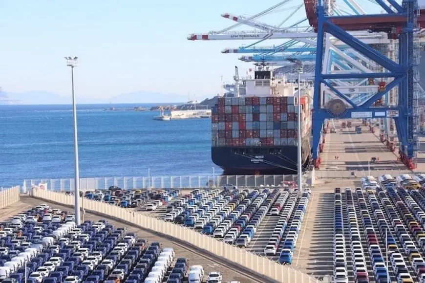 Le port de Tanger Med confirme sa position stratégique en 2025 avec plus de 11 millions de conteneurs traités