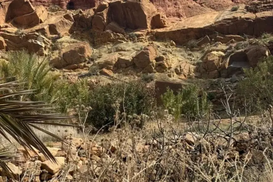 الجيش الجزائري يقتحم بساتين قصر إيش بإقليم فجيج ويطلق الرصاص لترهيب الساكنة