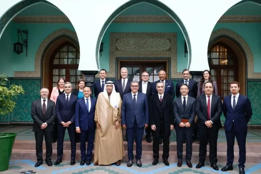 أخنوش يستقبل مستثمرين في قطاع الهيدروجين الأخضر