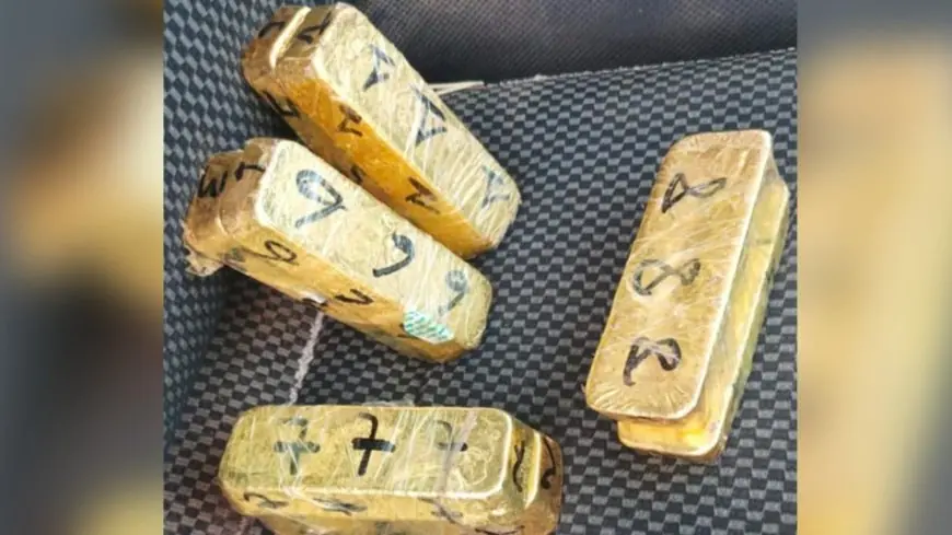 إجهاض محاولة تهريب سبائك ذهب عبر ميناء بني أنصار بالناظور