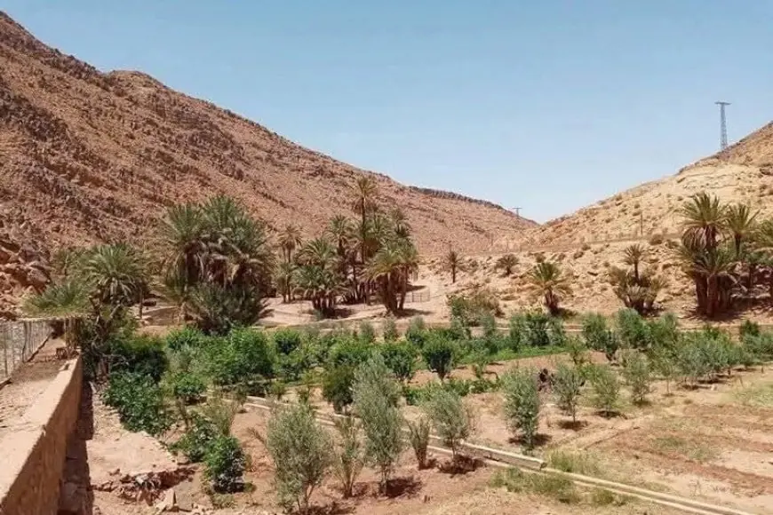 الجيش الجزائري يواصل إطلاق النار لترهيب فلاحين مغاربة في منطقة إيش بإقليم فكيك