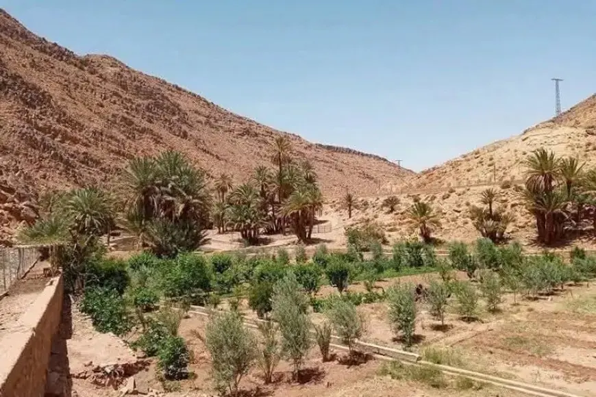 Tensions signalées à la frontière maroco-algérienne dans la région de Figuig