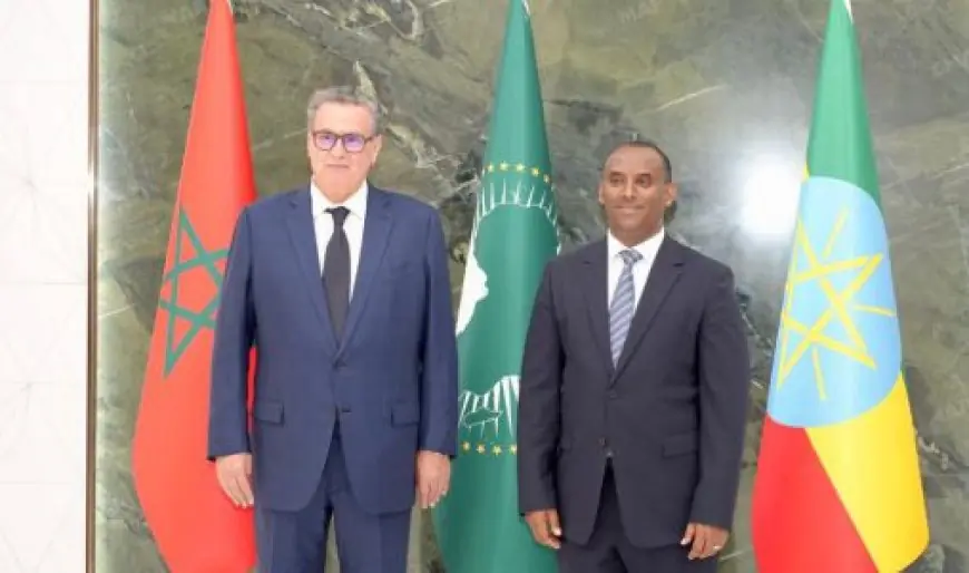 Aziz Akhannouch représente le Roi Mohammed VI au 39e Sommet de l’Union africaine à Addis-Abeba