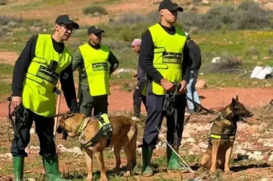 لليوم السادس.. عمليات متواصلة للبحث عن الطفلة هبة المختفية بواويزغت في أزيلال