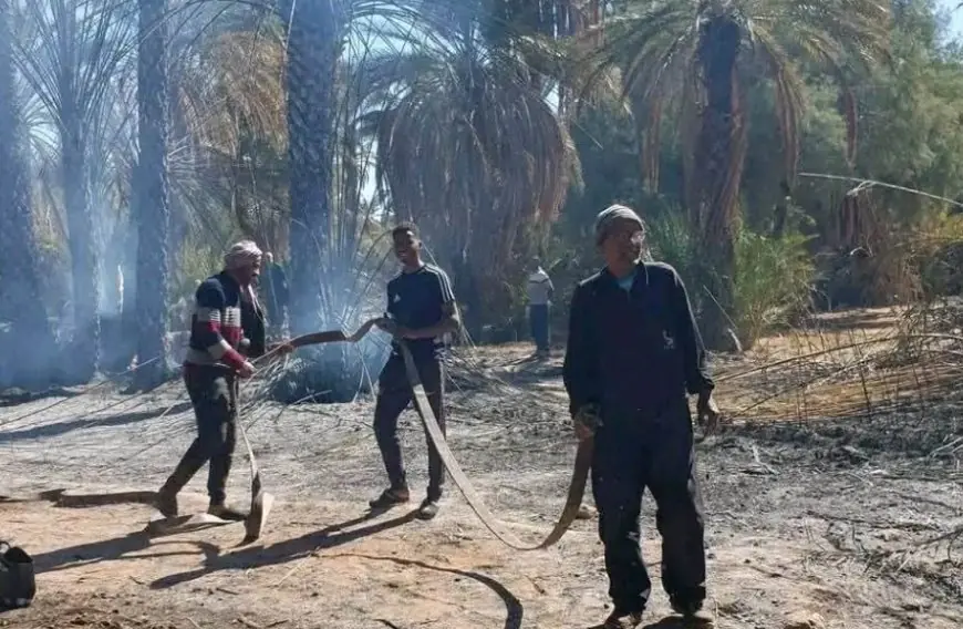 حريق مهول بحقول "تنغيل" بزاكورة وتحقيقات أمنية لمعرفة الأسباب
