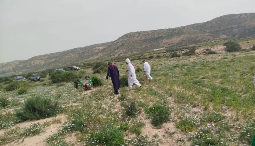 أسراب الجراد الصحراوي تصل نواحي أكادير وتستنفر السلطات
