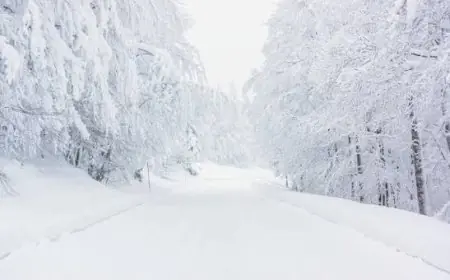Intempéries au Maroc : pluies orageuses, chutes de neige et vents forts attendus dans plusieurs régions
