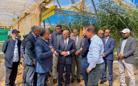 البواري يقوم بزيارة ميدانية لتقييم أضرار الرياح القوية بإقليم اشتوكة آيت باها