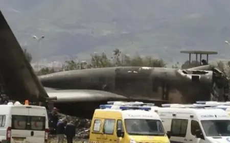 Un avion militaire algérien s'écrase : deux morts et quatre blessés