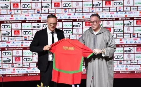 وهبي مدربا جديدا للمنتخب الوطني المغربي لكرة القدم