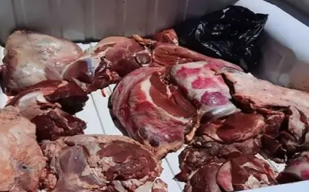 ضبط كميات من اللحوم الفاسدة داخل مجازر بالدار البيضاء