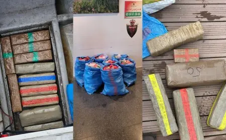 أمن ميناء طنجة يجهض عمليتين لتهريب المخدرات ويوقف 6 أشخاص