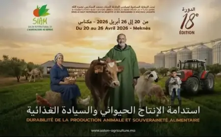 Meknès accueille la 18e édition du Salon international de l'agriculture au Maroc en avril 2026