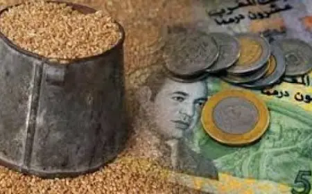 تحديد قيمة زكاة الفطر لعام 1447هـ في 23 درهماً نقداً و2.5 كلغ من الحبوب
