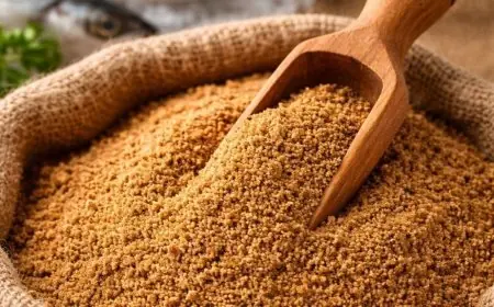 Le Maroc renforce sa position sur le marché européen de la farine de poisson