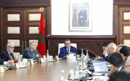 مجلس الحكومة يصادق على تعيينات جديدة في مناصب عليا